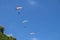 Paragliding in the sky. Three single paragliders flying in summer day over tropical Bali island. Beautiful paraglider in flight on