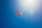 Paragliding in sunny weather on Oludeniz beach, Fethiye, Turkey