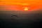 Paragliding in sunset