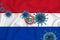 Paraguai flag. Blue viral cells, pandemic influenza virus epidemic infection, coronavirus, infection concept. 3d-rendering