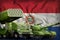 Paraguay heavy military armored vehicles concept on the national flag background. 3d Illustration