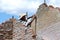 Paraguayan construction worker at work in new house