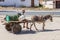 PARAIBA, BRAZIL - OCTOBER 10, 2016: Boy ona donkey cart in Paraiba state, Brazi