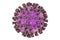 Parainfluenza virus illustration