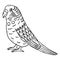 Parakeet Bird Isolated Coloring Page for Kids