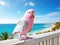 parakeet bird Pink and white full