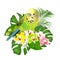 Parakeet green Budgerigar home pet ,   or budgie or shell parakeet  and Orchids cymbidium with tropical palm and philodendron