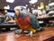 Parakeet news reporter at toy desk