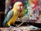 Parakeet painting on small easel