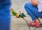 Parakeets and Feet