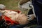 Paramedics perform CPR to a plastic dummy during a public demonstration on how to save a victim