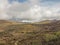 Paramo de Chingaza in Colombia, frailejones, espeletia grandiflora, endemic flowers of the paramo of south america, the lake of