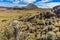 Paramo de Oceta Espeletia Frailejones Mongui Boyaca Colombia