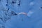 Paraplane flying over snowy Caucasus mountains sunny blue sky