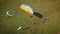 Paraplane, paraglider in the air aerial shot. Extreme life. A man is flying on a paraglider.