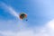 Parasailing in blue sky. Sports, active leisure, travel, vacation concept