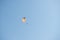 Parasailing. Man flying on a parachute behind a boat