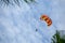 Parasailing man on the sky background