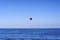 Parasailing over the ocean in Gran Canaria