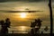 Parasailing at sunset at Patong beach, Phuket