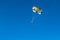 Parasailing water amusement. Beautiful bright blue sky and colorful parachute