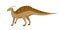 Parasaurolophus dino. Extinct dinosaur with cranial crest or bone on head. Animal of ancient Jurassic period