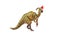 Parasaurolophus Dinosaur with Christmas hat  on white background