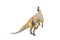 Parasaurolophus dinosaur isolated background