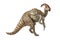 Parasaurolophus Dinosaur on white background