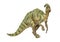 Parasaurolophus dinosaurs herbivores.