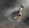 Parasaurolophus Standing in Fog