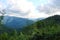 Parascha mountain range near the town of Skole, Lviv region. Ukraine. The landscape of lush flowering vegetation in the summer sea