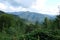 Parascha mountain range near the town of Skole, Lviv region. Ukraine. The landscape of lush flowering vegetation in the summer sea