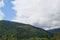 Parascha mountain range near the town of Skole, Lviv region. Ukraine. The landscape of lush flowering vegetation in the summer sea