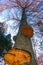 Parasitic fungi Tinder fungus on a tree trunk in the autumn forest, Princeton County