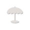 Parasol icon