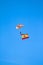 Paratrooper in full flight with the flag of Spain