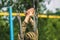 paratrooper training jump from parachute