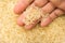 Parboiled Chinese Rice seed. Person with grains in hand. Macro.