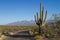 Parc national Saguaro