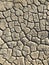 Parched and cracked earth
