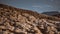 Parched desert landscape in Bardenas Reales, Navarre, Spain