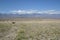 The parched desert scrub Death Valley