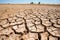 parched earth with deep cracks in a deserted area