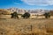 Parched farmland with yellow gold grass and rolling hills