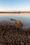 Parched lake at dawn