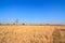 Parched rice field in countryside of Thailand