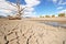 a parched riverbed due to drought