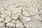 Parched Soil During Drought And Dry Season