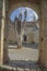 Parched tree and a doorway